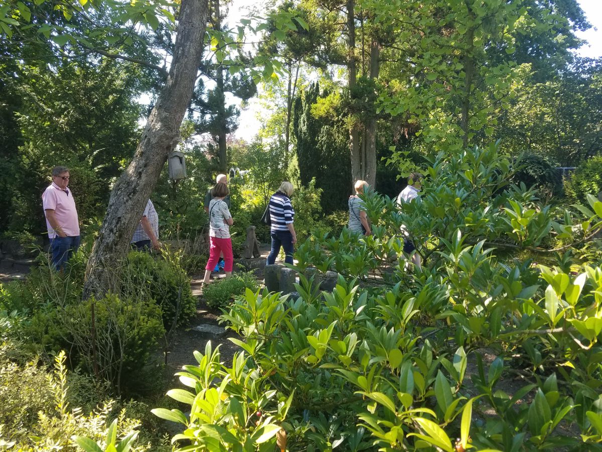 Dschungeltour beim Tag der offenen Gärten