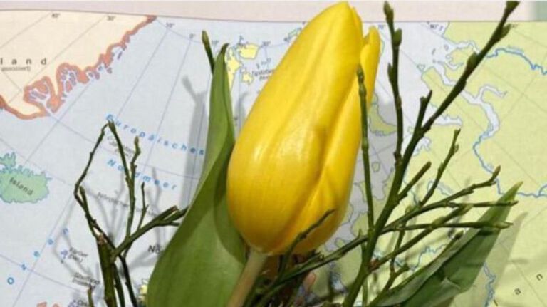 1000 Tulpen für die Ukraine