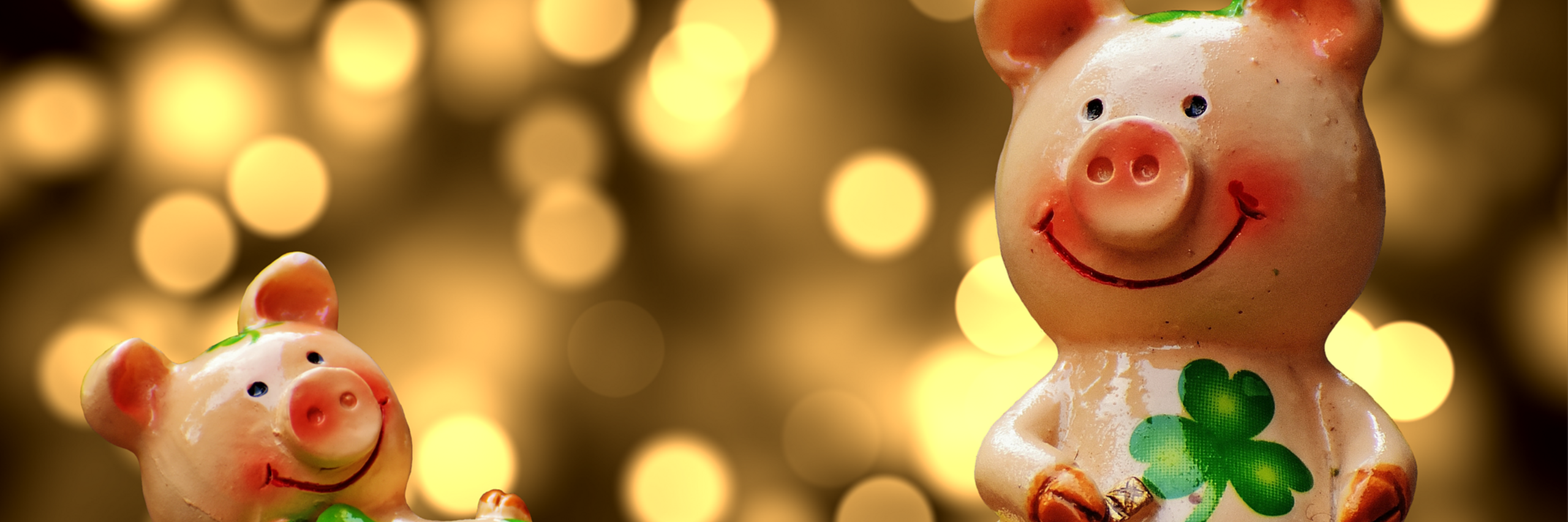 Wir wünschen allen einen "Guten Rutsch" in das neue Jahr 2026