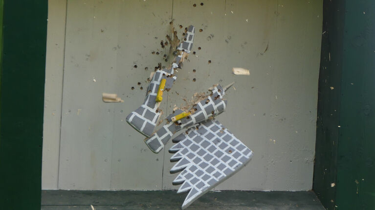 Vogelschießen in Anreppen am 9. Mai 2026